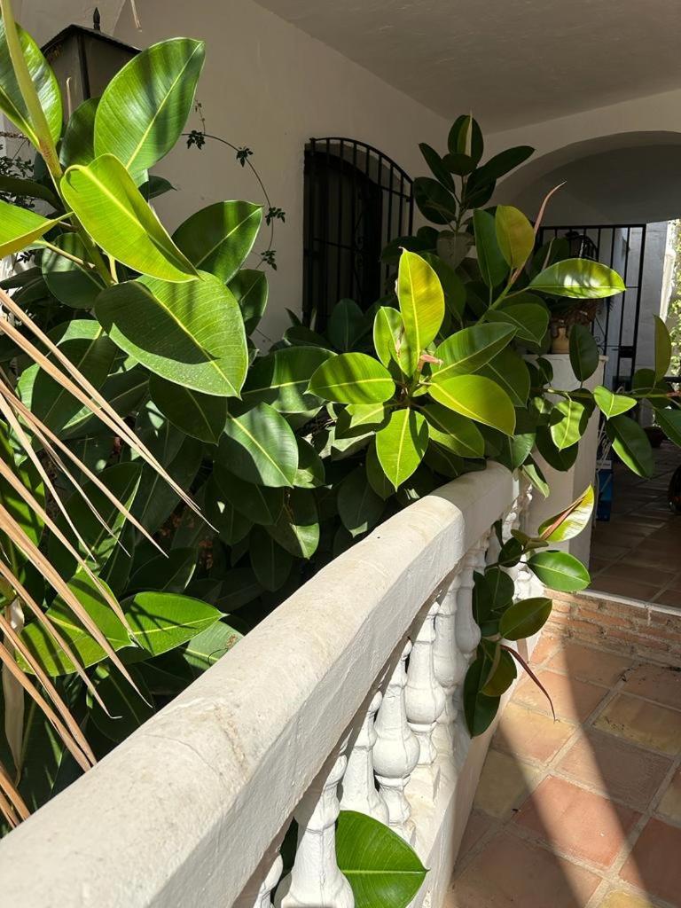 Monte Cielo Apartman Nerja Kültér fotó